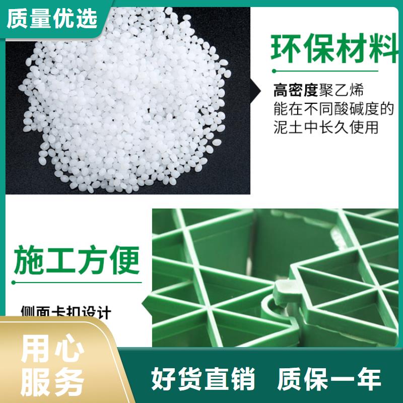 植草格植草格实力商家供货稳定