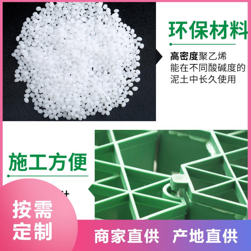 植草格厂家代理商