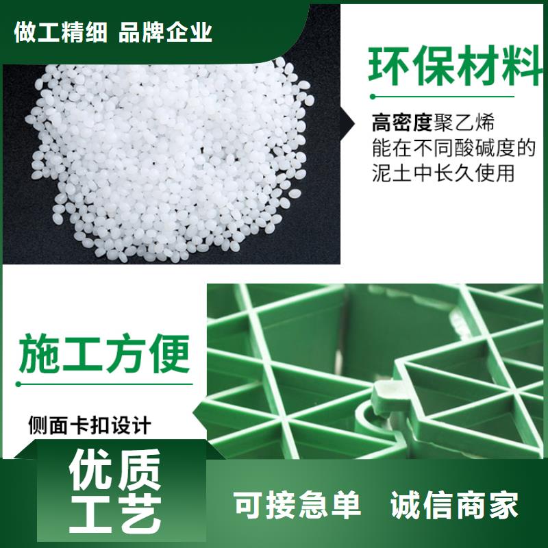 源厂直销植草格【防护虹吸排水收集系统】诚信可靠