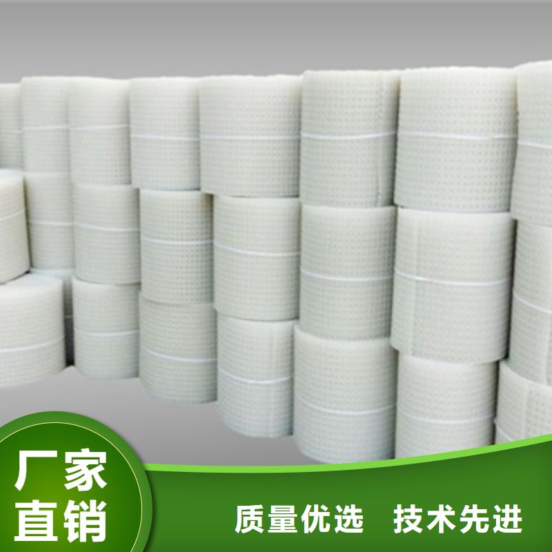 |大英|安居|广安|攀枝花|甘孜|广元|成都|绵阳【塑料排水板】 排水板厂家自营-《朋联》