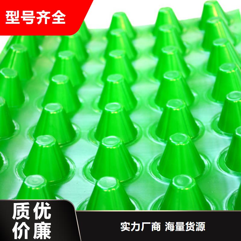 |大英|安居|广安|攀枝花|甘孜|广元|成都|绵阳【塑料排水板】 排水板厂家自营-《朋联》