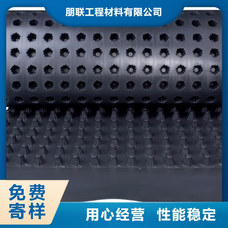 |大英|安居|广安|攀枝花|甘孜|广元|成都|绵阳【塑料排水板】 排水板厂家自营-《朋联》