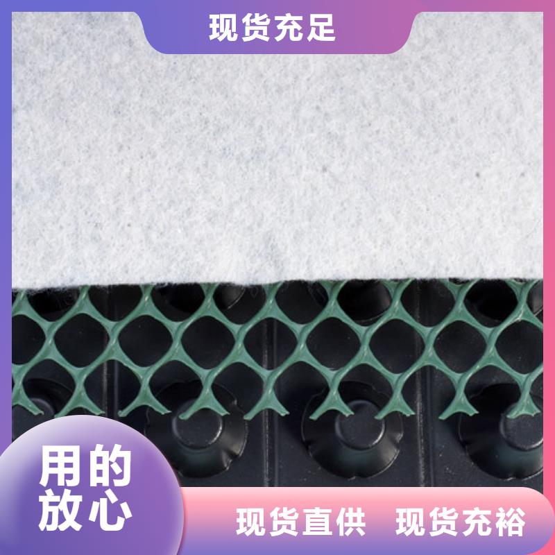 |大英|安居|广安|攀枝花|甘孜|广元|成都|绵阳【塑料排水板】 排水板厂家自营-《朋联》