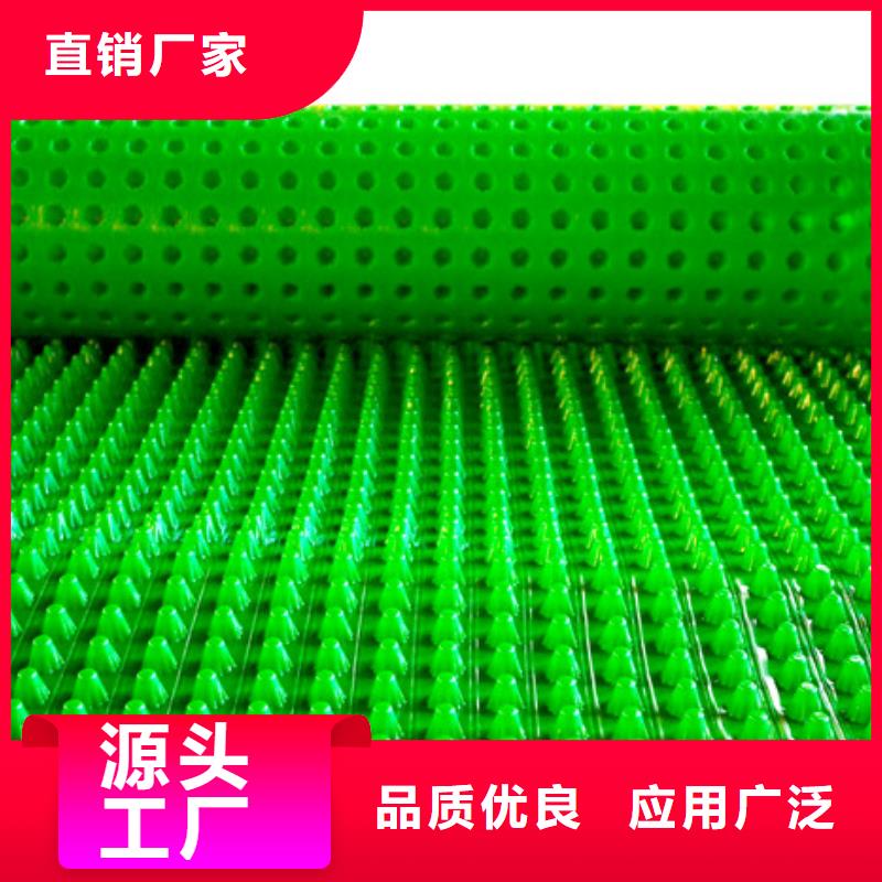 |大英|安居|广安|攀枝花|甘孜|广元|成都|绵阳【塑料排水板】 排水板厂家自营-《朋联》
