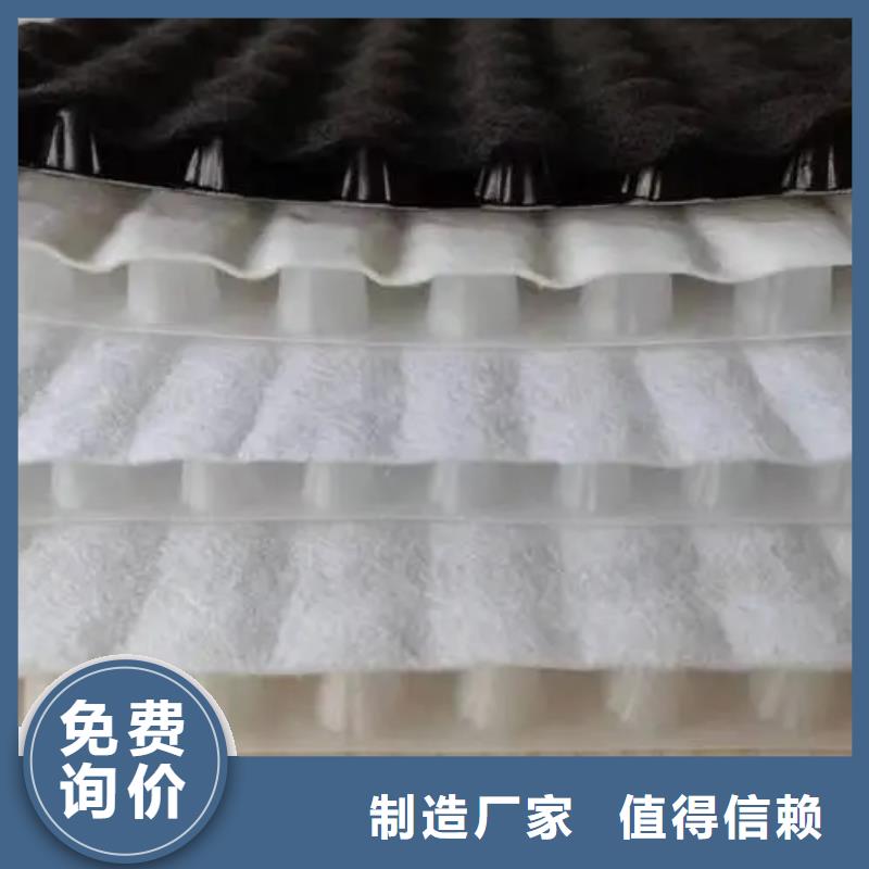 |大英|安居|广安|攀枝花|甘孜|广元|成都|绵阳【塑料排水板】 排水板厂家自营-《朋联》