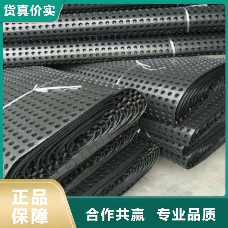|大英|安居|广安|攀枝花|甘孜|广元|成都|绵阳【塑料排水板】 排水板厂家自营-《朋联》