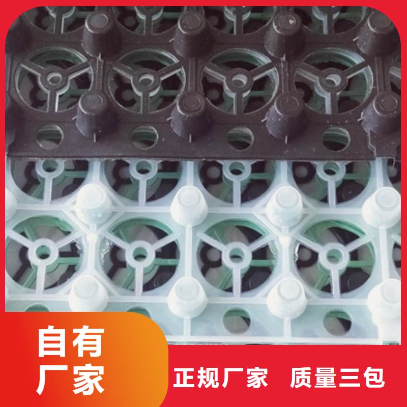【朋联】【塑料排水板】 植草格免费安装-诚信商务网