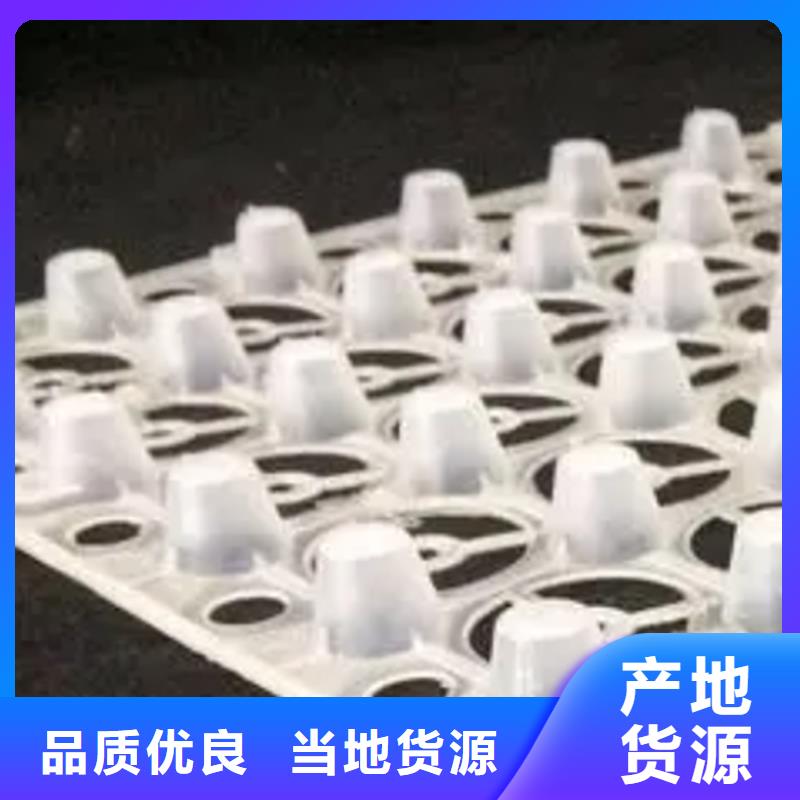 |上思|港口|玉林|钦州|贵港|贺州|崇左|北海朋联【 塑料排水板,化粪池水泥买的是放心】