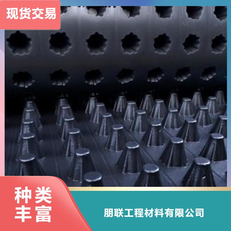 |大英|安居|广安|攀枝花|甘孜|广元|成都|绵阳【塑料排水板】 排水板厂家自营-《朋联》