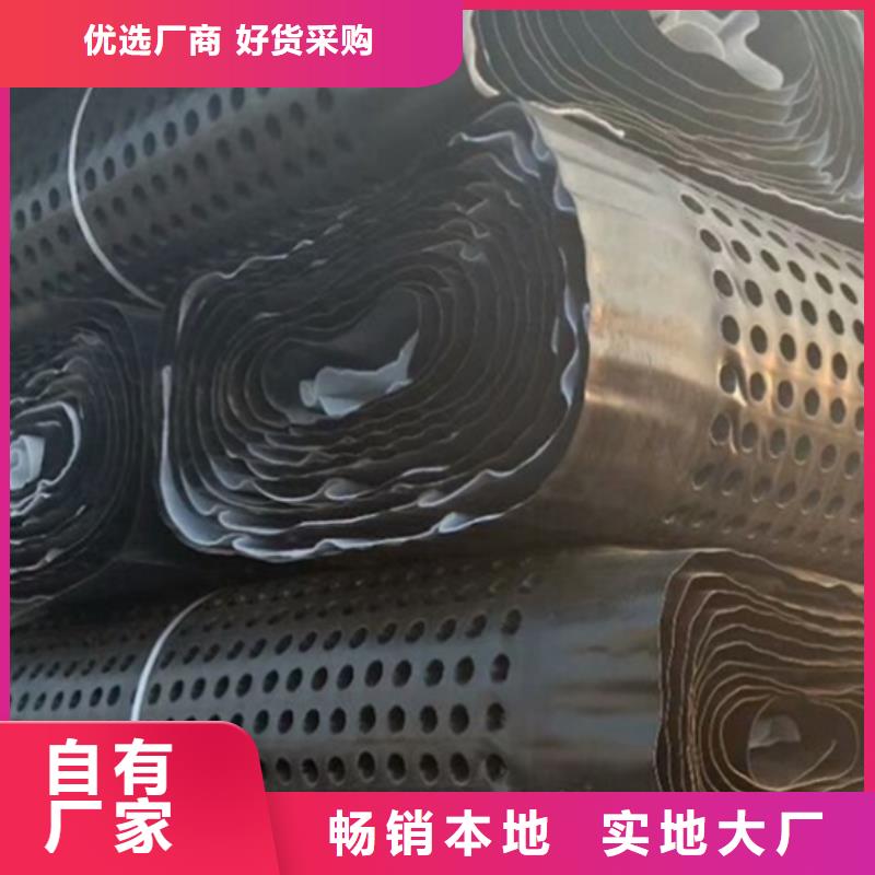 |大英|安居|广安|攀枝花|甘孜|广元|成都|绵阳【塑料排水板】 排水板厂家自营-《朋联》