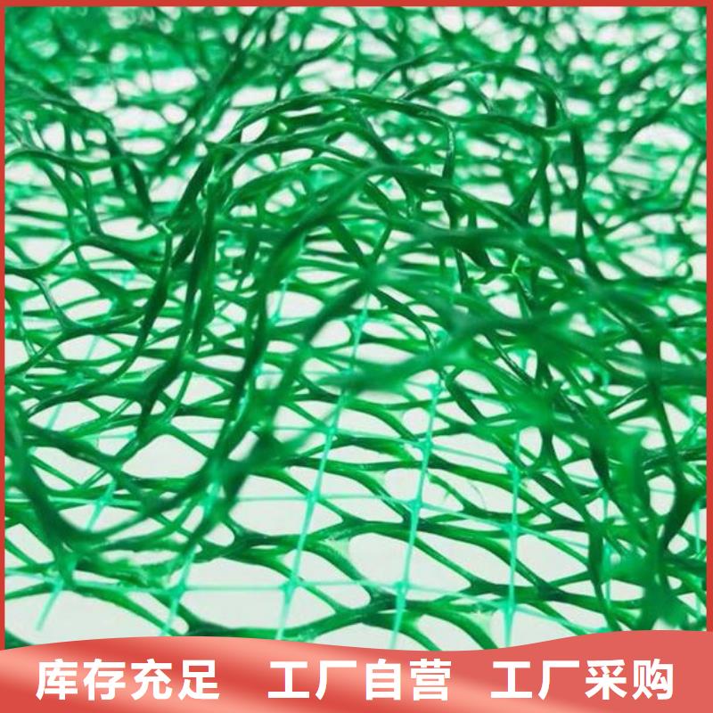 三维植被网,植草格厂家定制