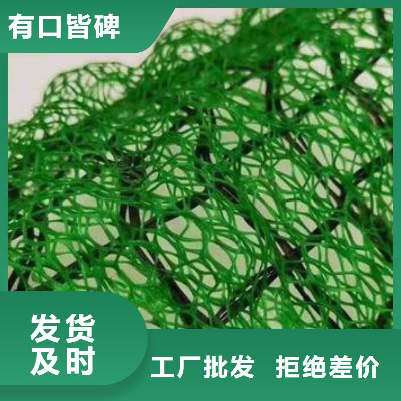三维植被网,【排水板】厂家规格全-朋联工程材料(阿里市分公司)