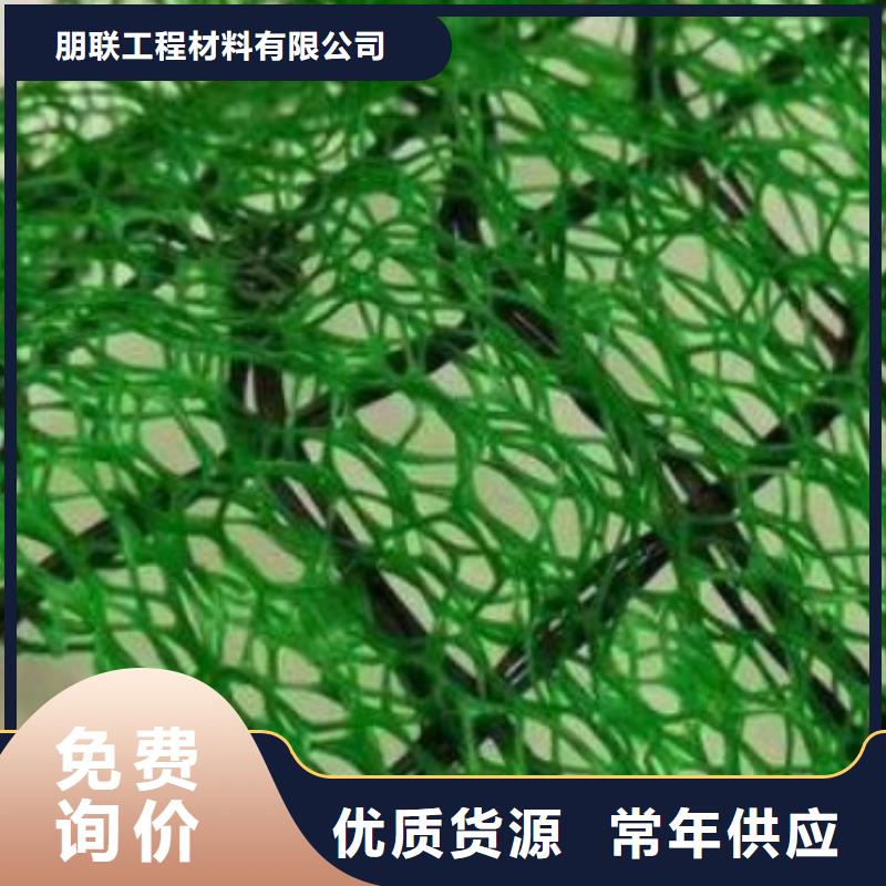 三维植被网,植草格厂家定制