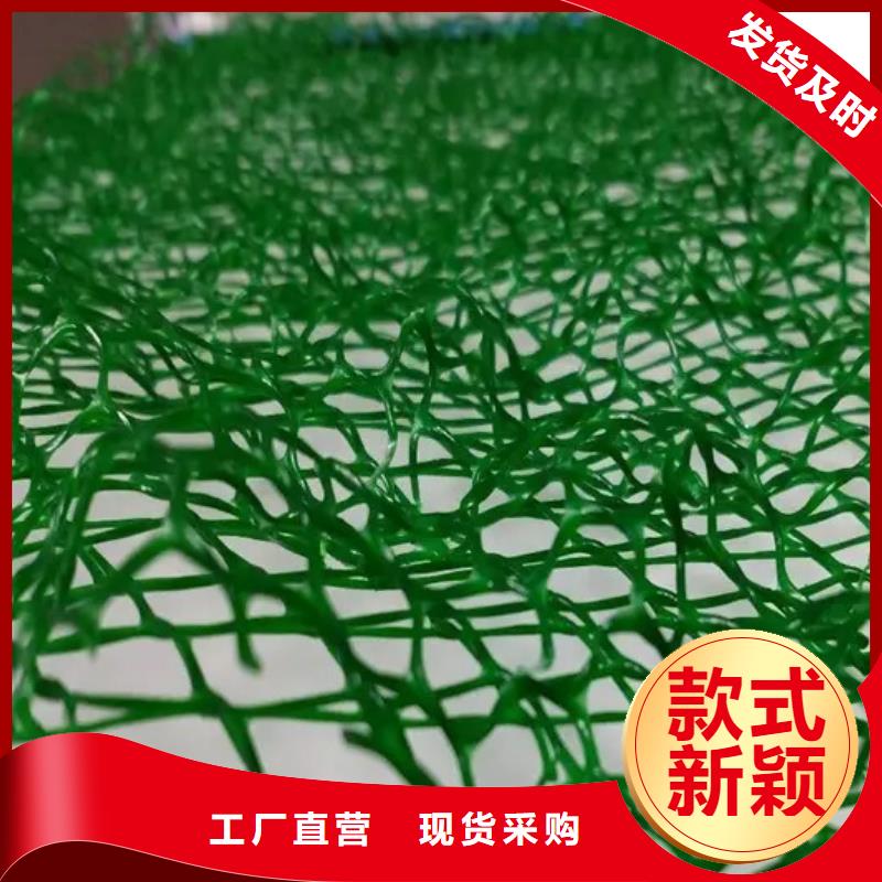 三维植被网,【排水板】厂家规格全-朋联工程材料(阿里市分公司)