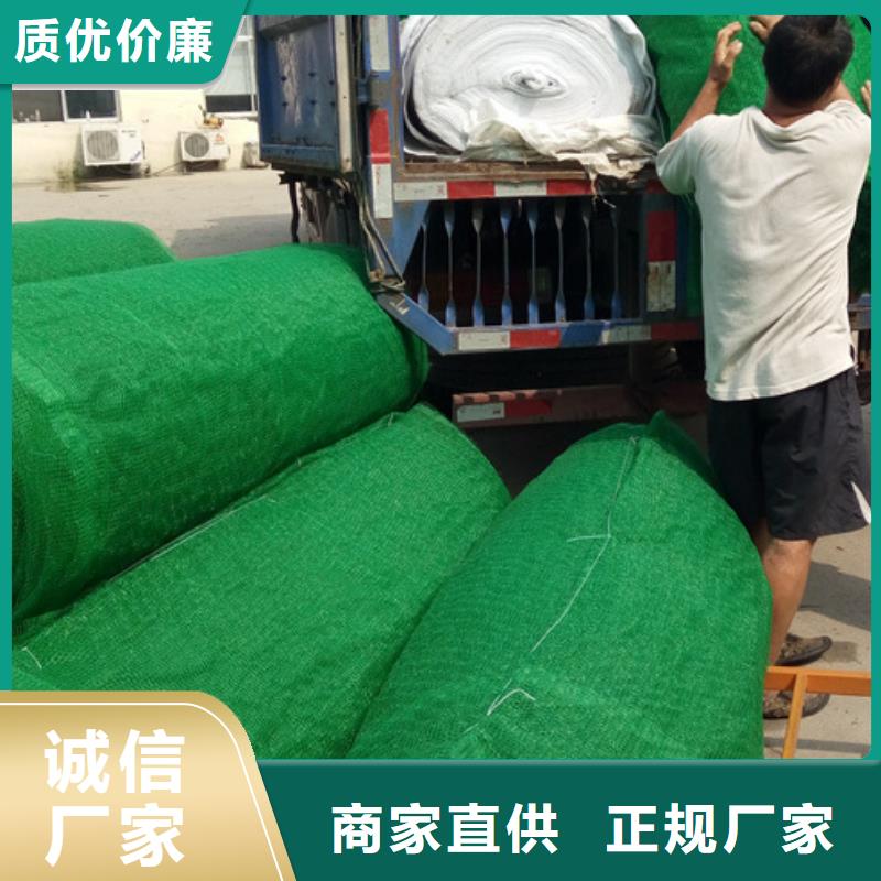 三维植被网水泥化粪池质量可靠