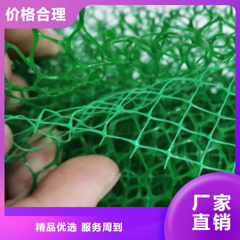 {朋联}三维植被网,【排水板】厂家规格全