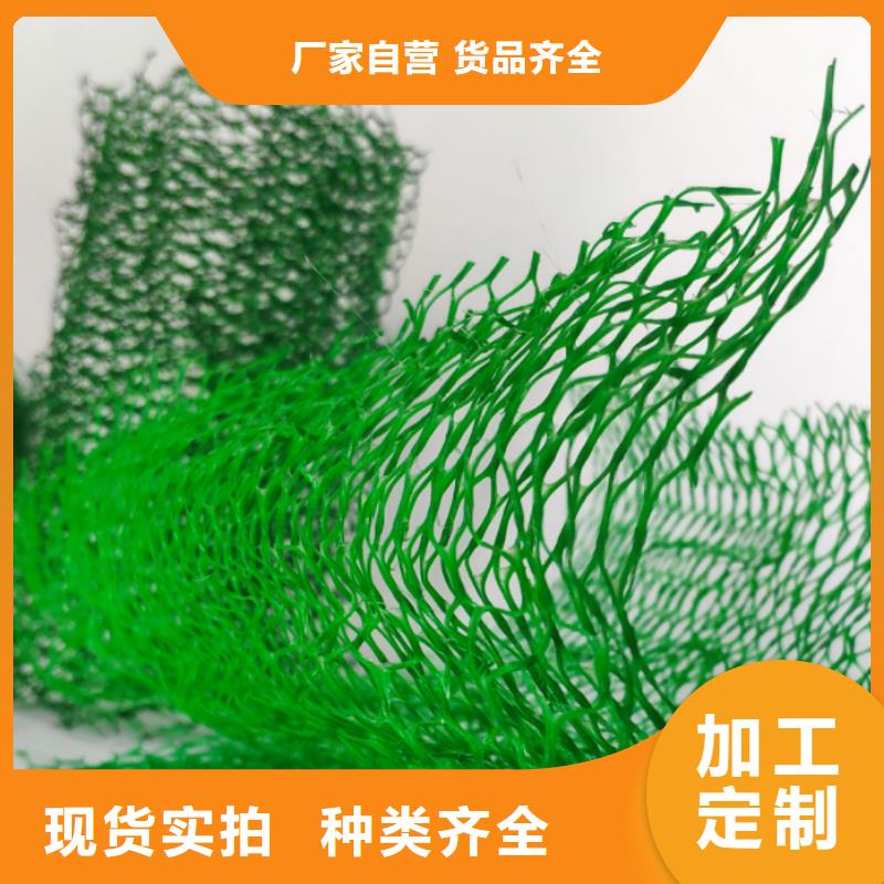 三维植被网水泥化粪池质量可靠
