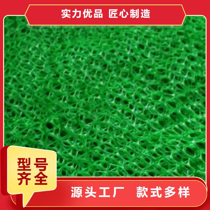 三维植被网水泥化粪池质量可靠