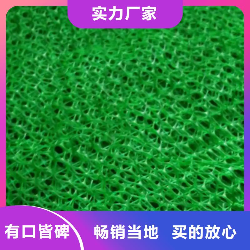 {朋联}三维植被网,【排水板】厂家规格全