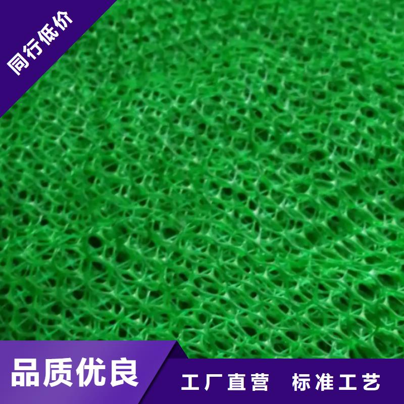 三维植被网植草格服务至上