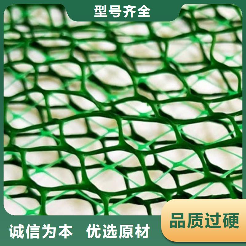 【三维植被网】-排水板实力大厂家