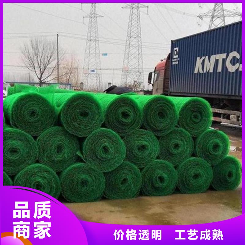 三维植被网,【排水板】厂家规格全-朋联工程材料(阿里市分公司)