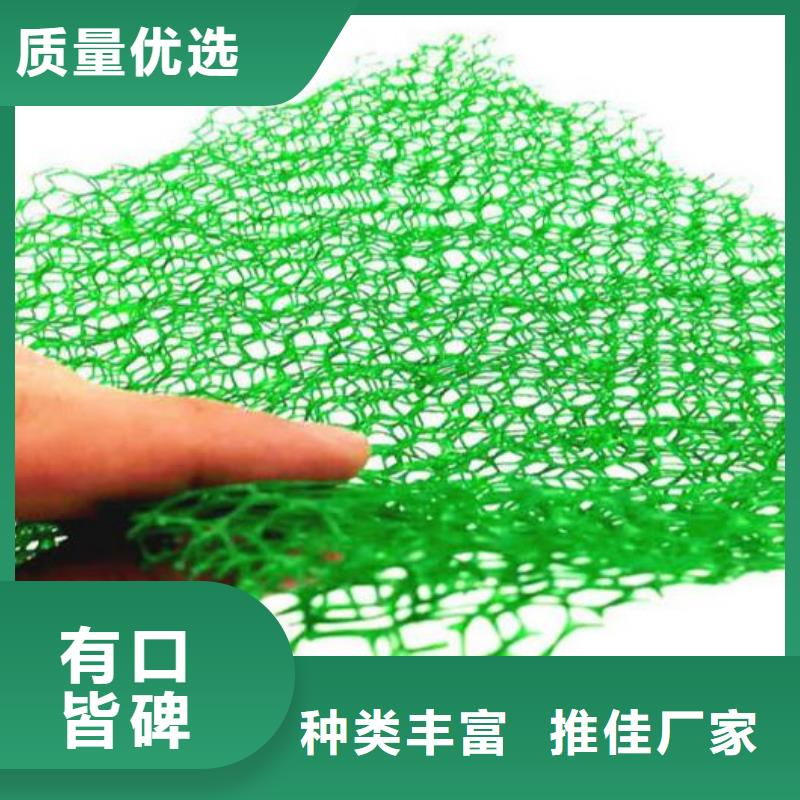 三维植被网植草格服务至上