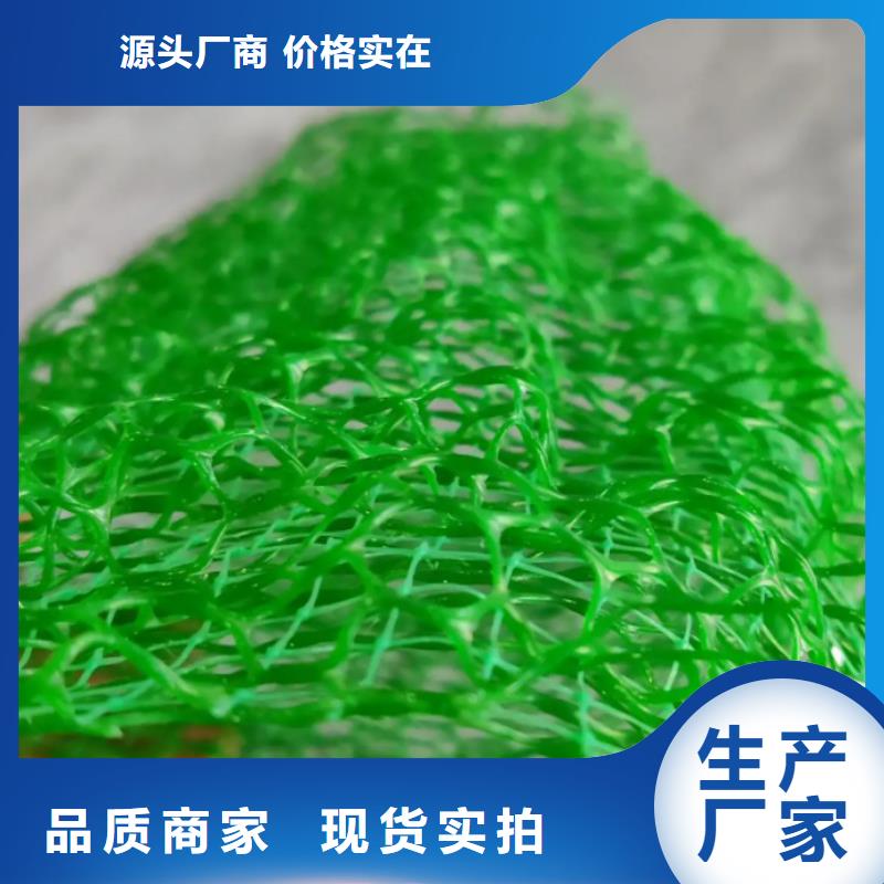 三维植被网,【排水板】厂家规格全-朋联工程材料(阿里市分公司)