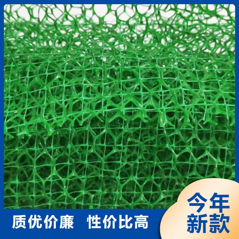 {朋联}三维植被网,【排水板】厂家规格全