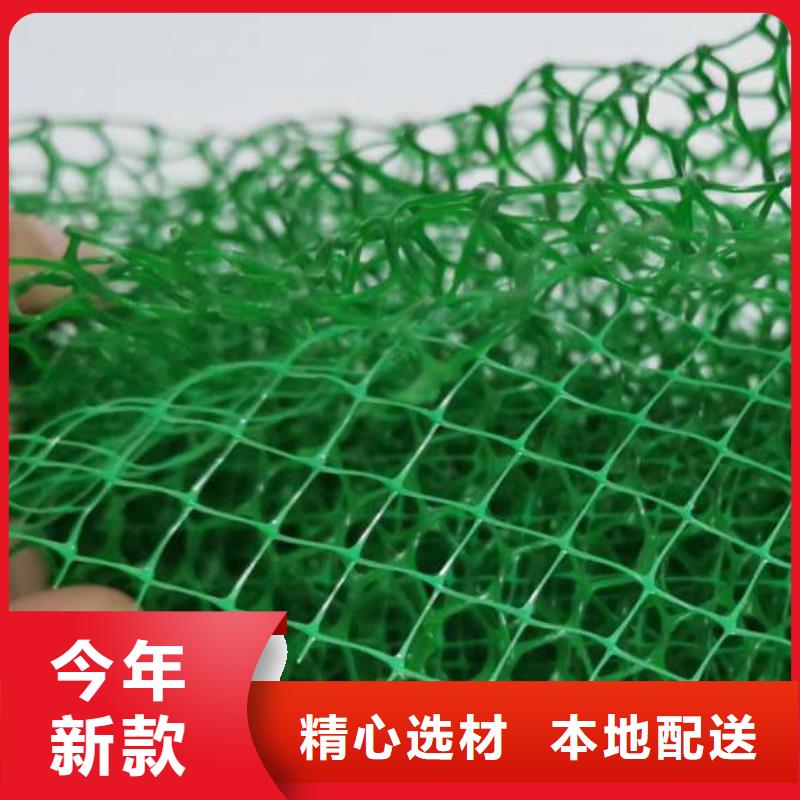 {朋联}三维植被网,【排水板】厂家规格全