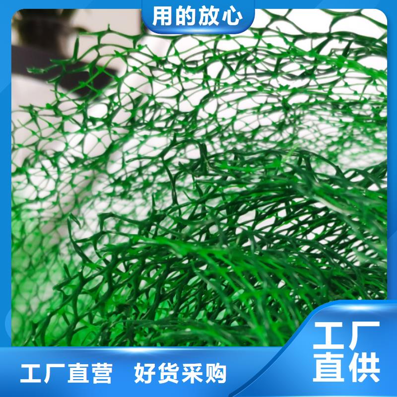 {朋联}三维植被网,【排水板】厂家规格全