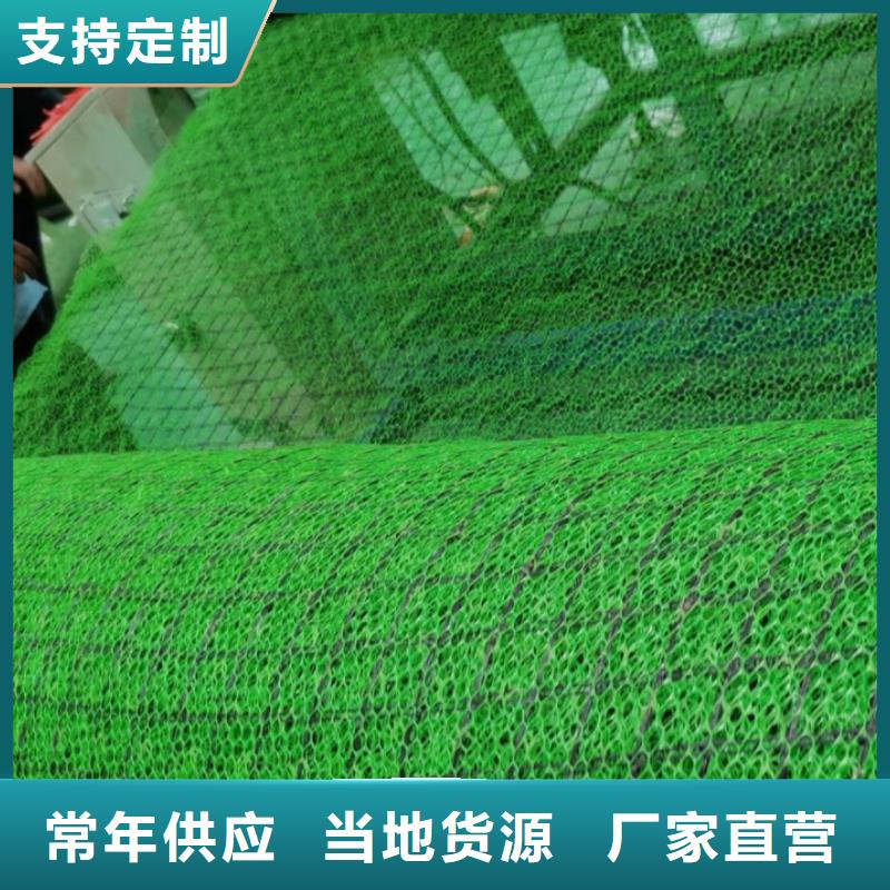 三维植被网,【排水板】厂家规格全-朋联工程材料(阿里市分公司)