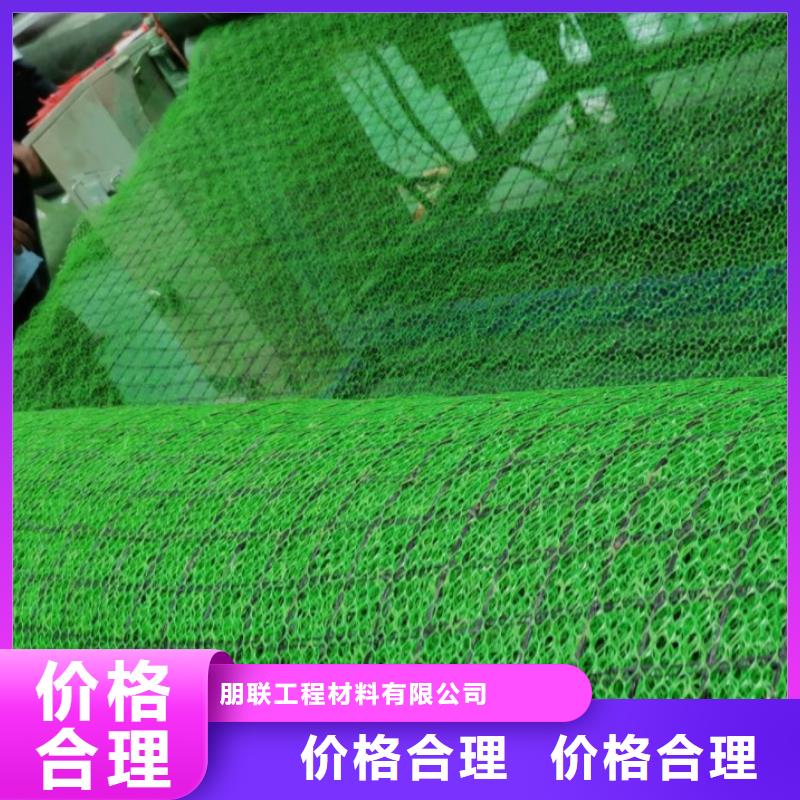 三维植被网植草格服务至上