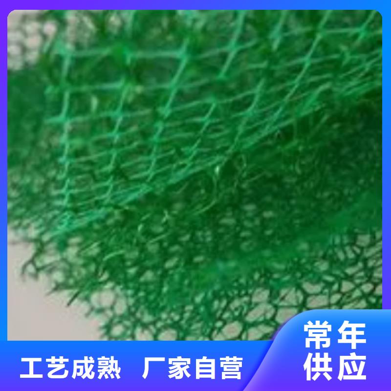{朋联}三维植被网,【排水板】厂家规格全