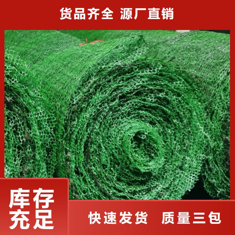 三维植被网植草格生产厂家