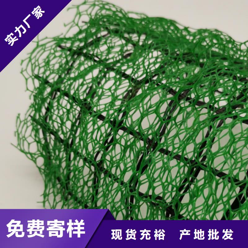 三维植被网,【排水板】厂家规格全-朋联工程材料(阿里市分公司)