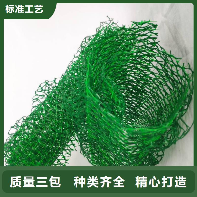 三维植被网水泥化粪池质量可靠