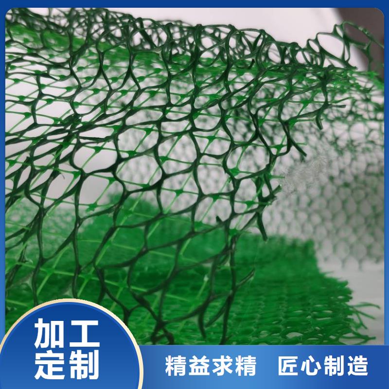 三维植被网-防护虹吸排水收集系统价格公道合理
