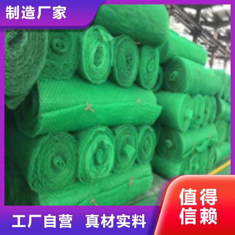 {朋联}三维植被网,【排水板】厂家规格全