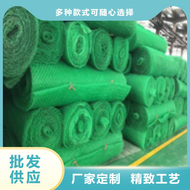 三维植被网,植草格厂家定制
