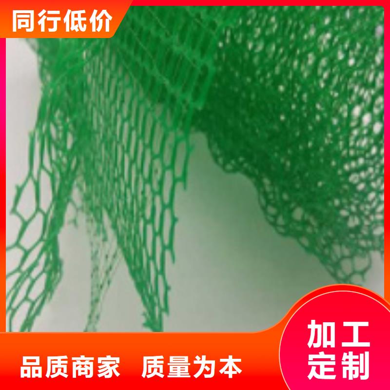 三维植被网植草格生产厂家