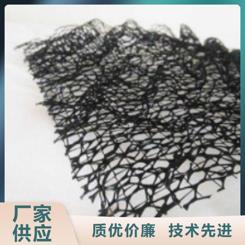 {朋联}三维植被网,【排水板】厂家规格全