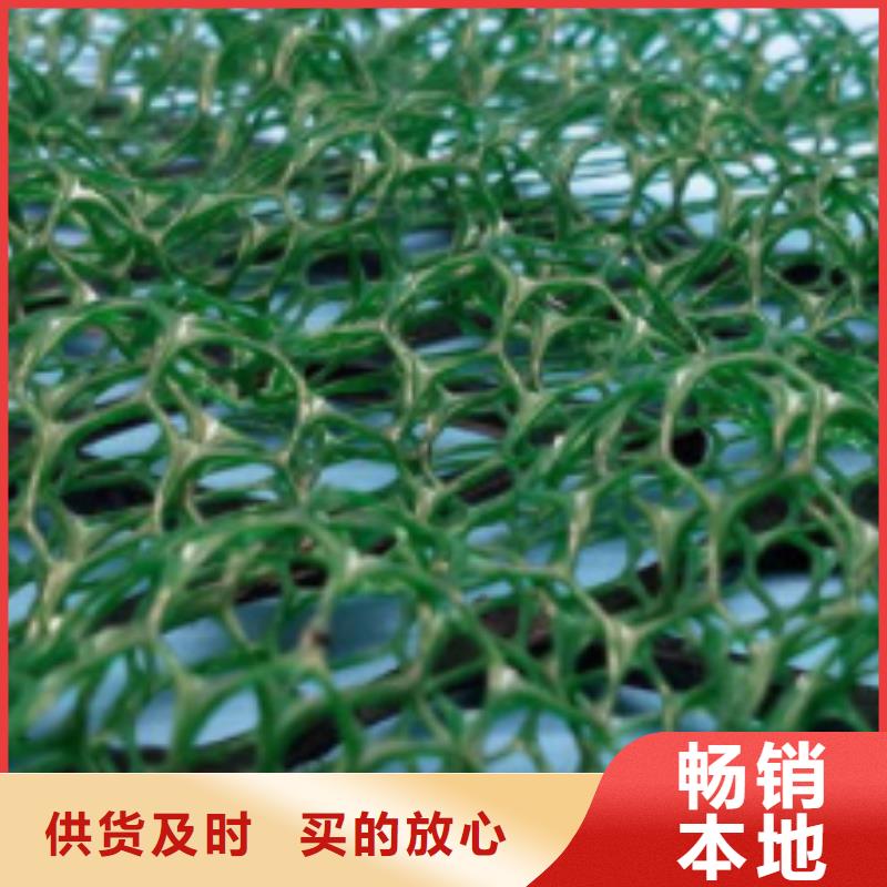 三维植被网,植草格厂家定制