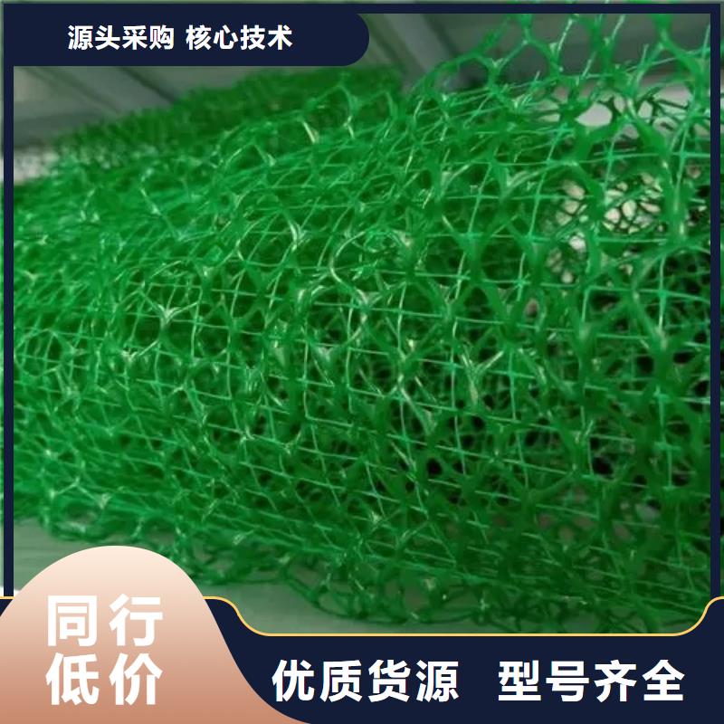 三维植被网,【排水板】厂家规格全-朋联工程材料(阿里市分公司)