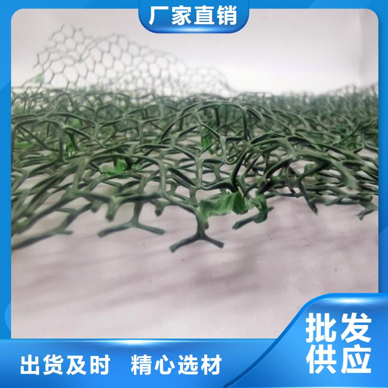 三维植被网植草格生产厂家