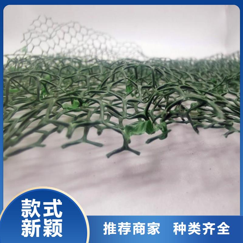 三维植被网水泥化粪池质量可靠
