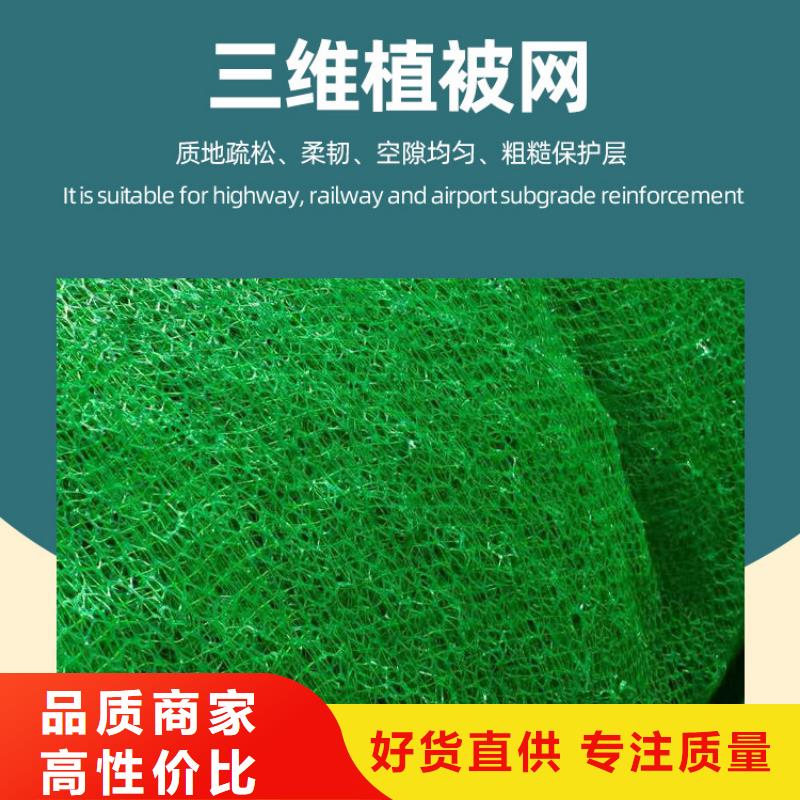 三维植被网植草格服务至上