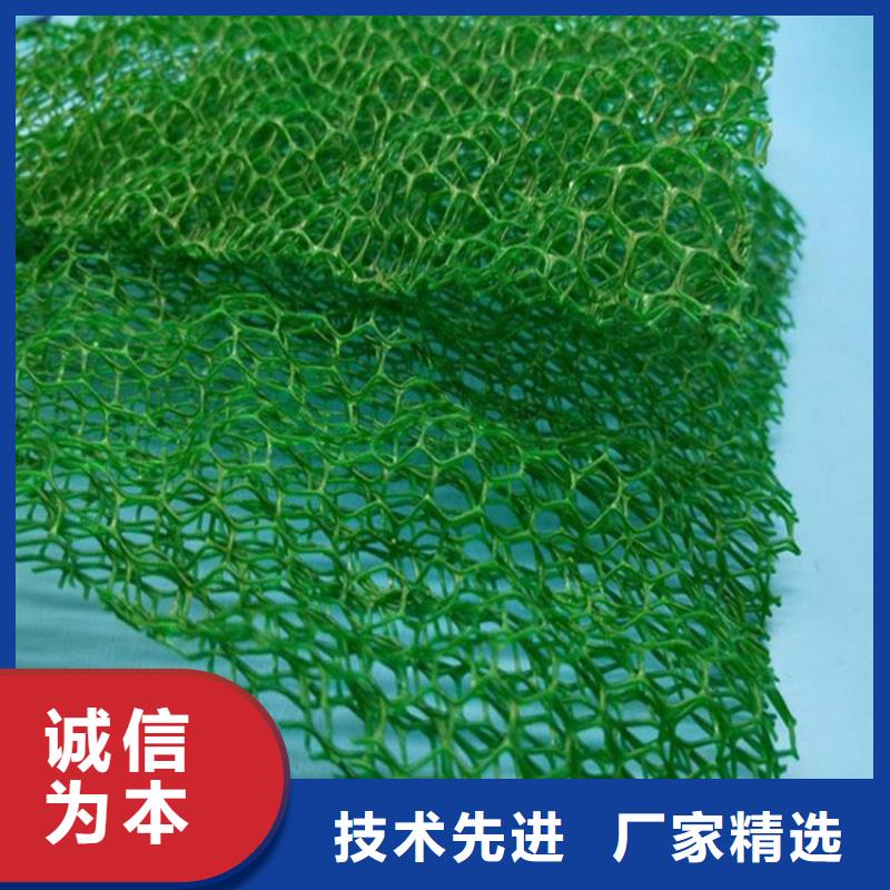 三维植被网水泥化粪池质量可靠