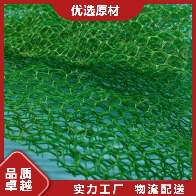 {朋联}三维植被网,【排水板】厂家规格全