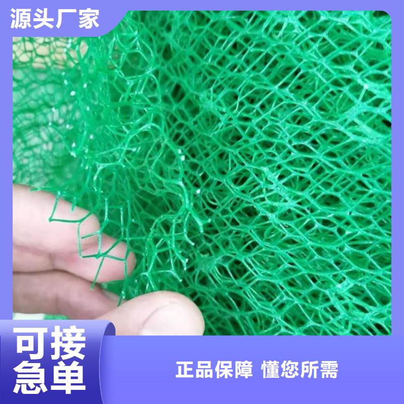 三维植被网水泥化粪池质量可靠